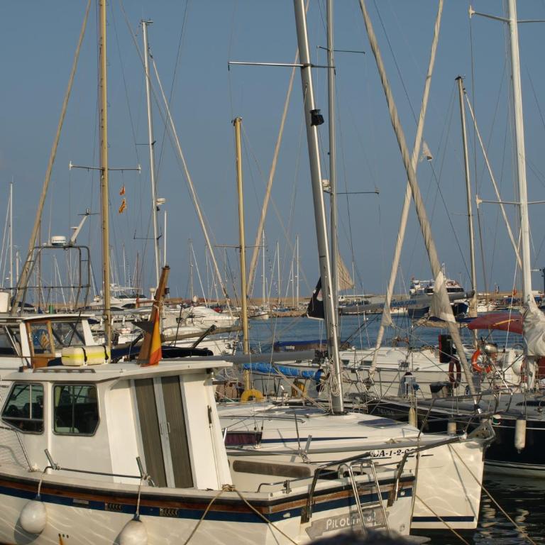 Apartaments Geminis - One-Bedroom Apartment (2 Adults + 2 Children) - 44