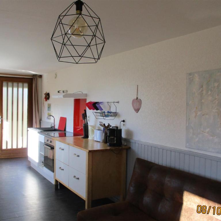 Entre lac et pistes - Appartement - Vue sur Lac - 3