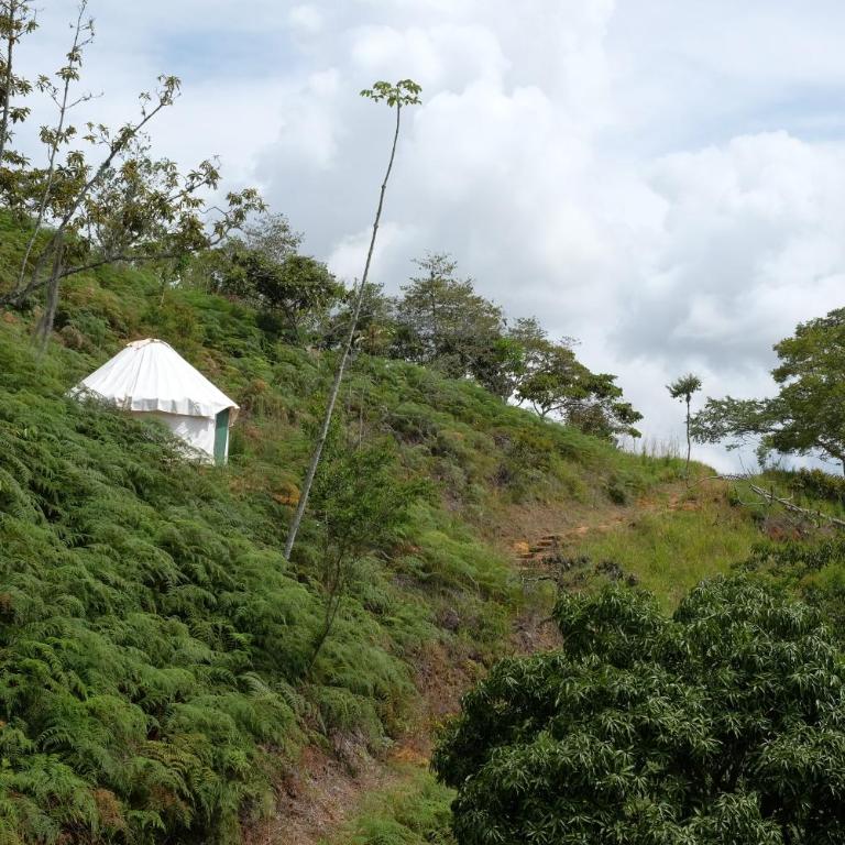 La Pacha Eco-Finca Glamping - Yurta (2 adultos) - 16