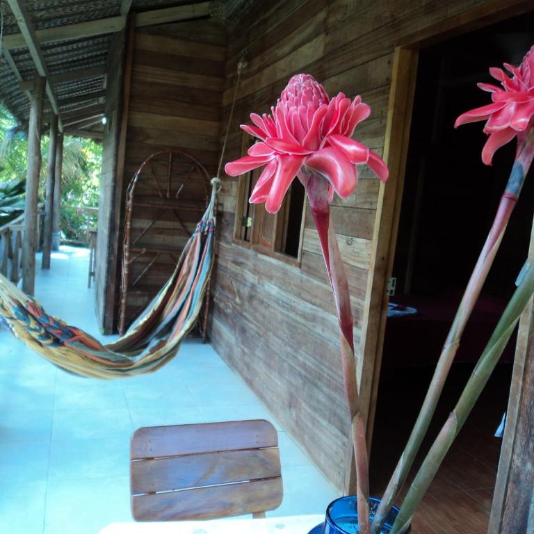 Posadas Ecoturisticas Seineken - Bungalow - 19