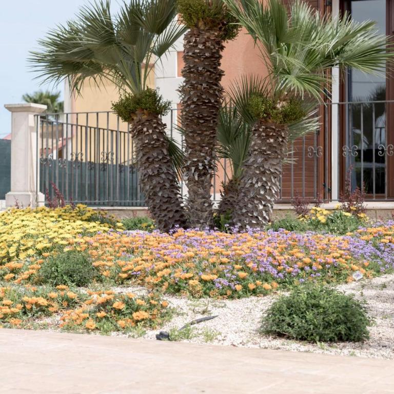 Modica Country Villa - IsulaTravel - Villa con Piscina Privata - 10