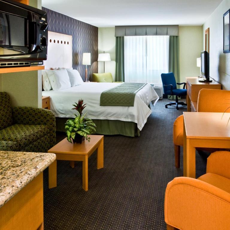 Holiday Inn Express & Suites Monterrey Aeropuerto by IHG - King Suite - 1
