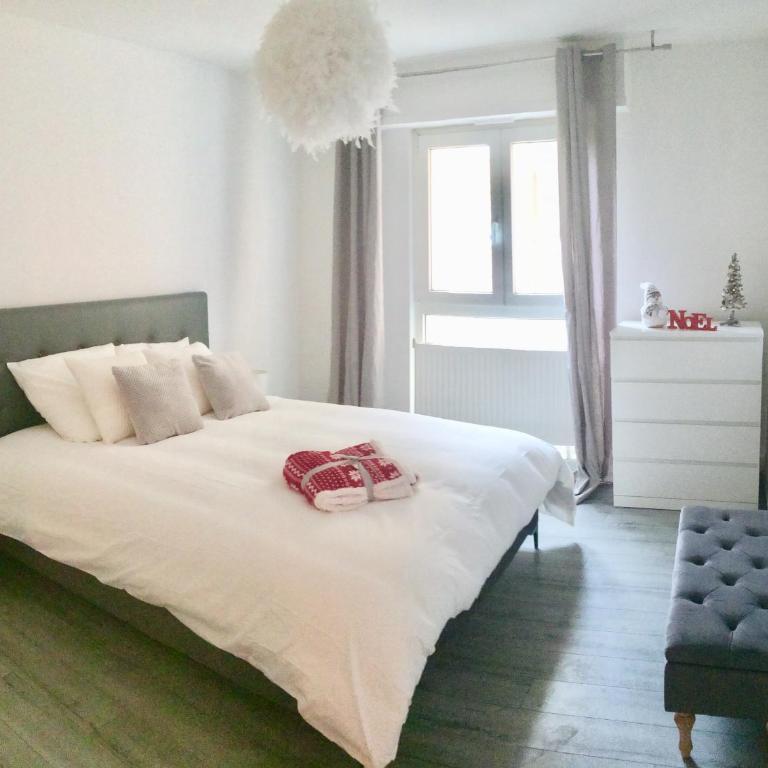 Cosy and You - Appartement 1 Chambre - 1