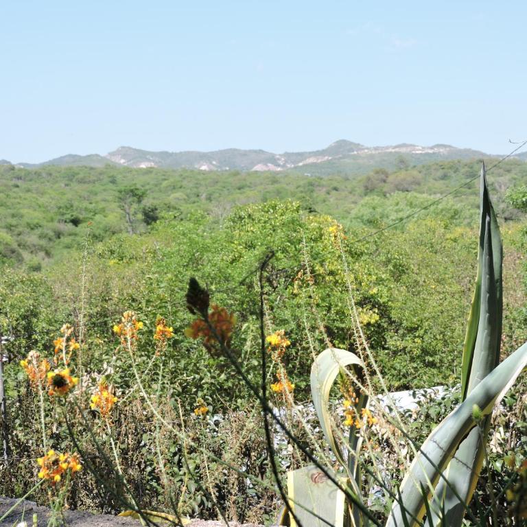 Bosquecito Del Rio - Casa de 2 dormitorios - 16