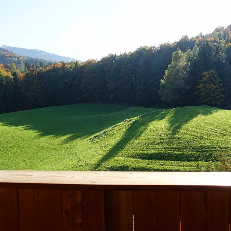 Urlauben im Grünen - Appartamento con 1 Camera da Letto - 2