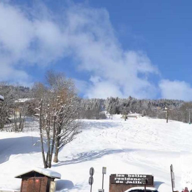 welcoming apartment with swimming pools near the Megève ski slopes - Appartement - 20