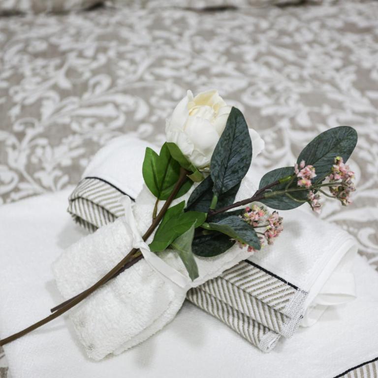 Casa Florio Appartamenti - Apartment - 12