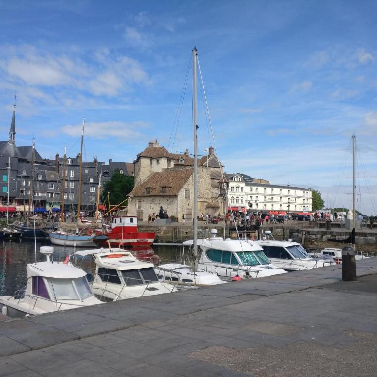 Studio centre historique Honfleur - Appartement - Rez-de-Chaussée - 29