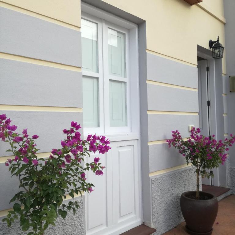 Casa La Palomera 1 - Casa Unifamiliar de 2 dormitorios - 4