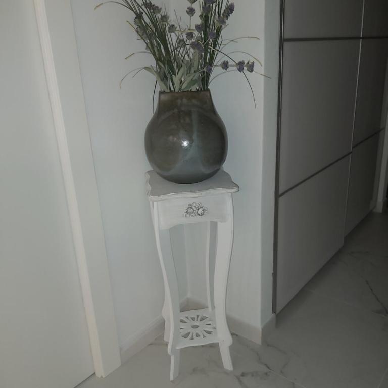 ELEGANTISSIMO APPARTAMENTO DIRETTAMENTE SUL MARE SPIAGGIA LE GHIAIE 6 posti letto - Three-Bedroom Apartment - 5