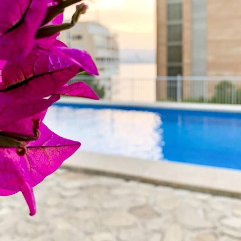 BALCÓN AL MEDITERRÁNEO Y SKYLINE DE BENIDORM - Apartamento de 1 dormitorio - 33