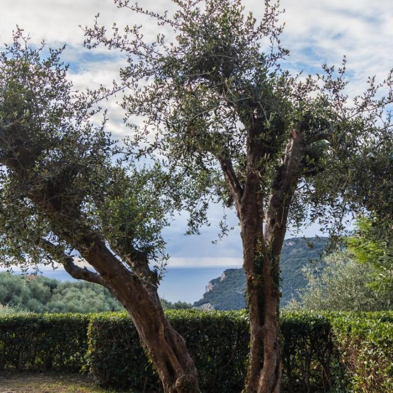 Il Borgo apartments - Appartamento con 1 Camera da Letto - 6