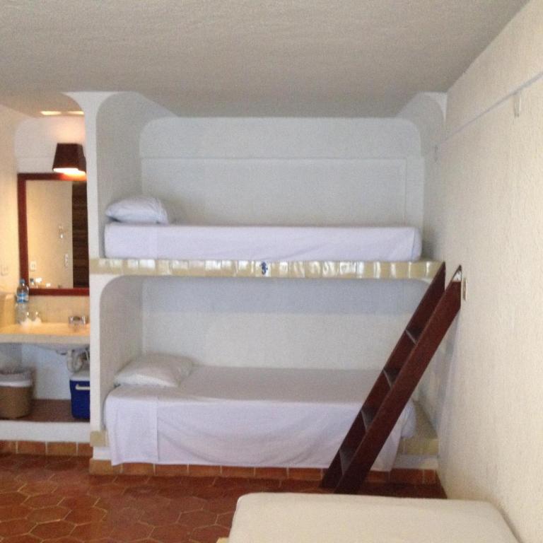 Safari Inn - Habitación Familiar - 2
