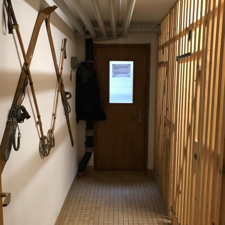 Emelie Zermatt 4**** - Apartment mit 1 Schlafzimmer - 73