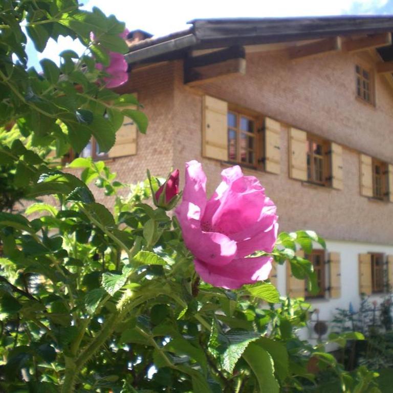 Ferienwohnung Landhaus Martin - Apartment mit 2 Schlafzimmern - 44