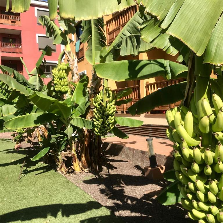 El Mocan Luxury Apartment - Apartamento de 1 dormitorio - 47