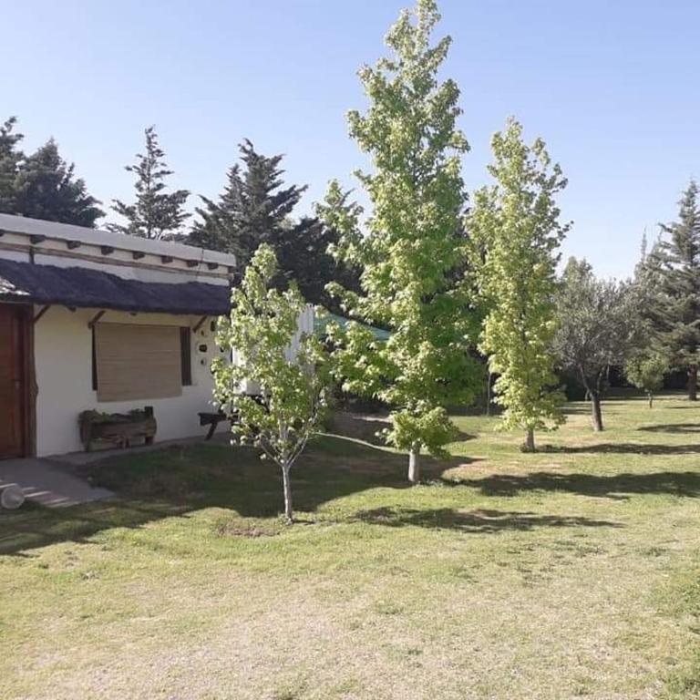 RUCALAF Cabañas 4Pax - Apartamento de 1 dormitorio - 2