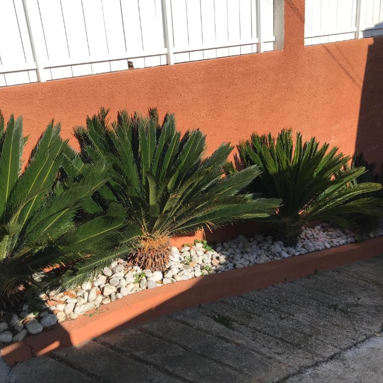 Miniestudio en Calafell, cerca Barcelona - Apartamento - Planta baja - 11