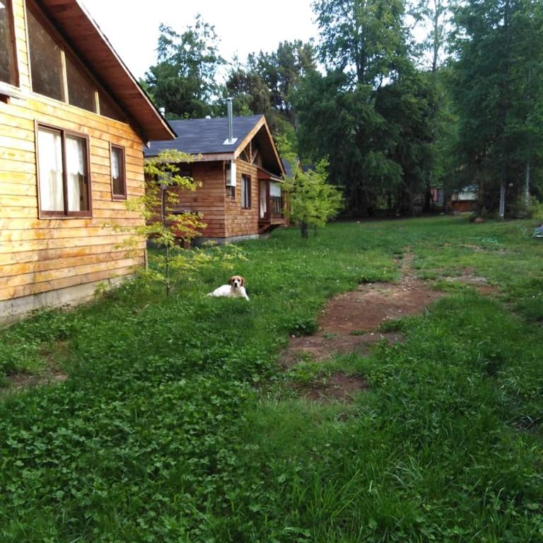 Bosques de Caburgua - Two-Bedroom Bungalow - 50