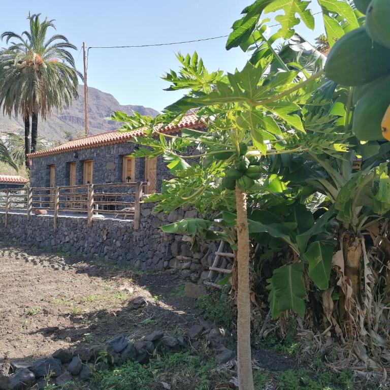 Casa Juana - Casa de 2 dormitorios - 1