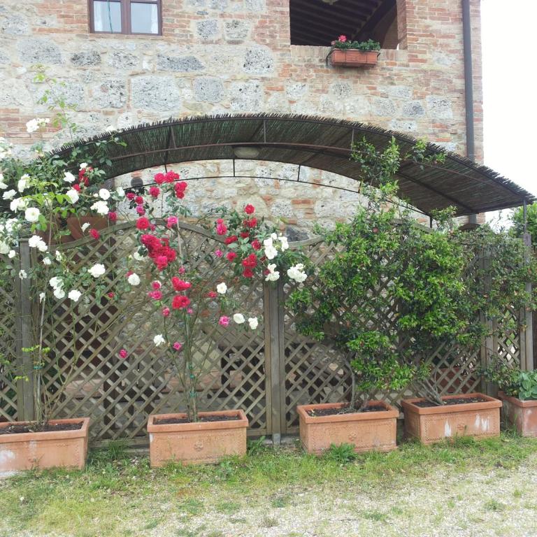 Gli Archi di Corsanello - Appartamento con 2 Camere da Letto - 13
