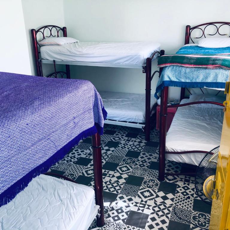 Casa Eufemia Hostel type - Bunk Bed in Female Dormitory Room - 17
