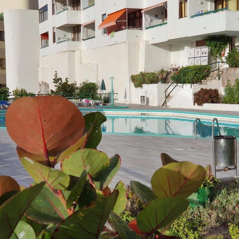 MGT - Appartamento sulla Spiaggia con terrazza romantica - Apartamento de 1 dormitorio - 27