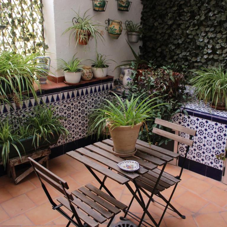 Apartamento BAÑOS ÁRABES DEL CENIZAL antes Plaza de las Fuentes - Apartamento - Planta baja - 25