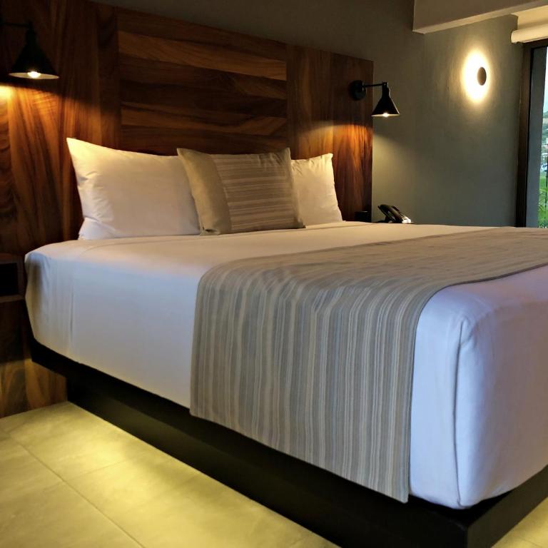 SIX TWO FOUR Urban Beach Hotel - Standard King Room - 2