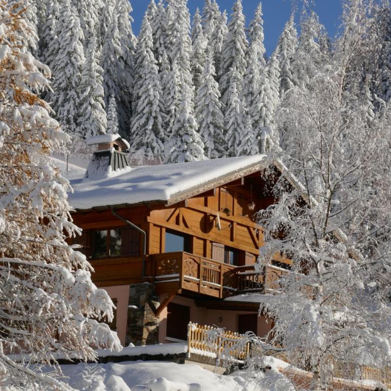 Les Saisies côté Bisanne appartement dans chalet LE Népal - Apartment mit 1 Schlafzimmer - 2
