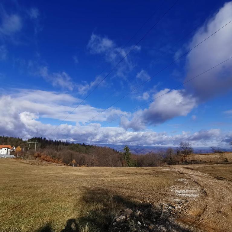 Konak Pahulja TARA - Kuća sa 1 Spavaćom Sobom - 26