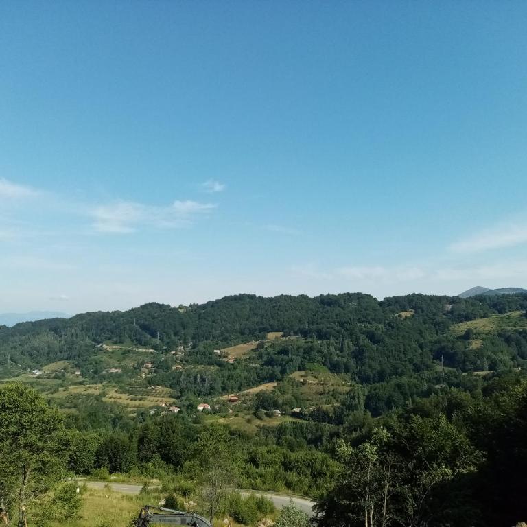Pčelica L15 Milmari - Studio with Mountain View - 26