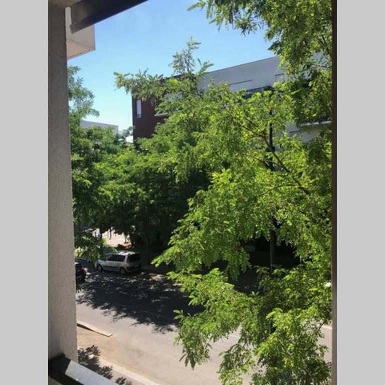 Fruitiers1 - Three-Bedroom Apartment - 36