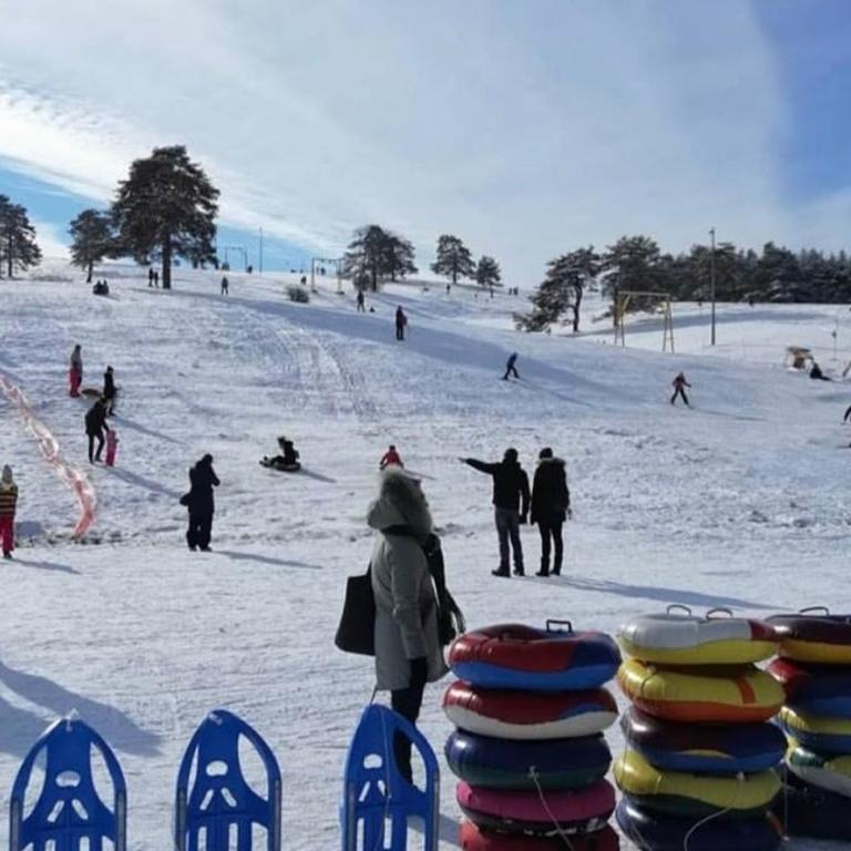 Zlatibor apartman Vladovic - Apartman sa 1 Spavaćom Sobom - 20