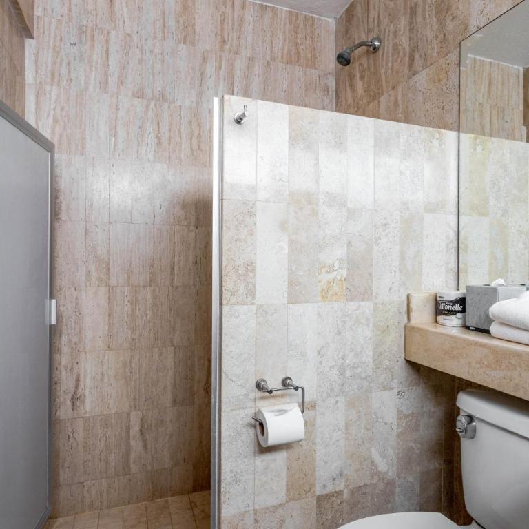 Olas Altas Suites Departamentos - Suite con cama extragrande - 3