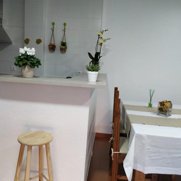 APARTAMENTO VISTA MAR LA TORTUGA - Apartamento de 1 dormitorio - 6