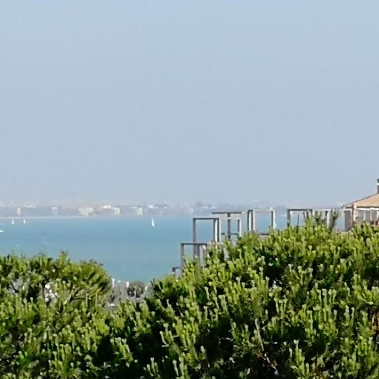 Yucas del Mar - Casa - 6