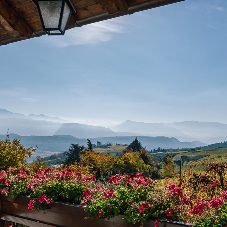Strahlerhof - Appartamento con 2 Camere da Letto - 11