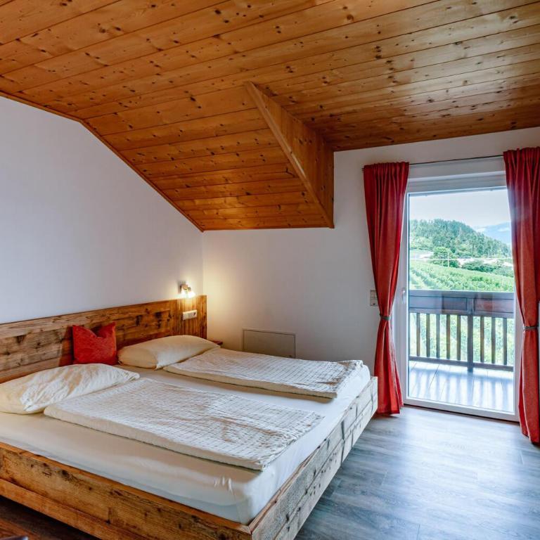Strahlerhof - Appartamento con 2 Camere da Letto - 11