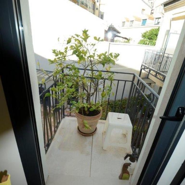 Patio Wilson - Appartement - 4