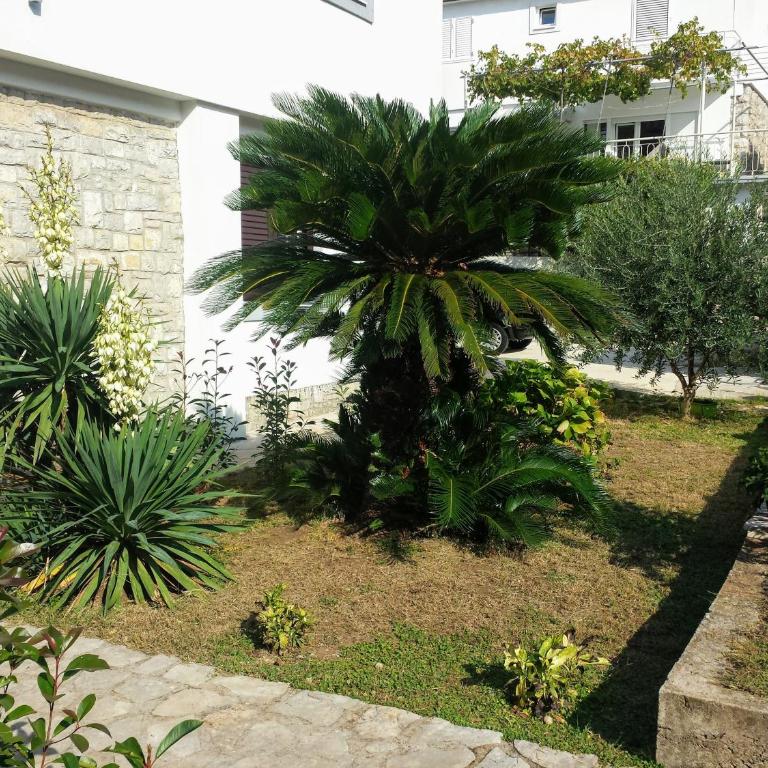 Guest House Djonovic - Studio Apartment - 3