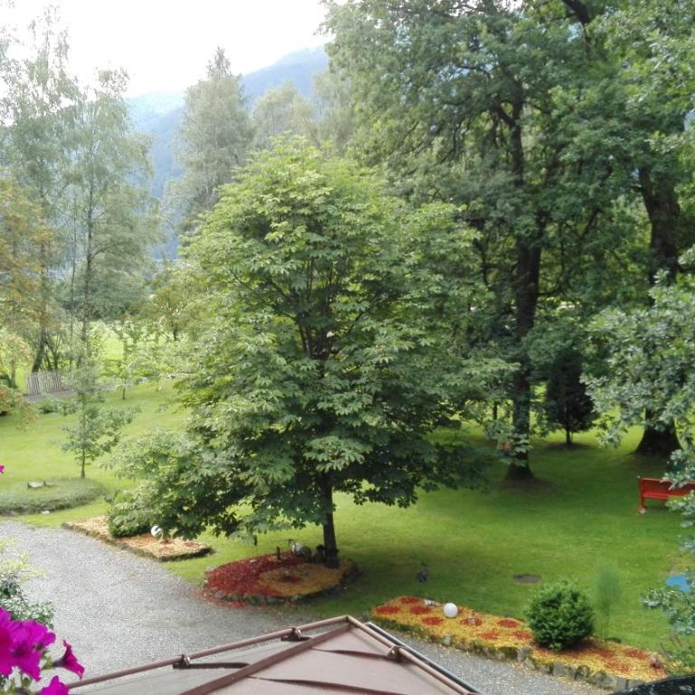 Appart Burgwies ink Nationalpark Sommercard - Apartment mit Balkon - Morgenstern - 2