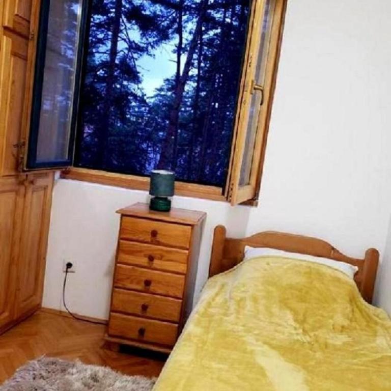 Apartman Pine Forest - One-Bedroom Apartment - 5