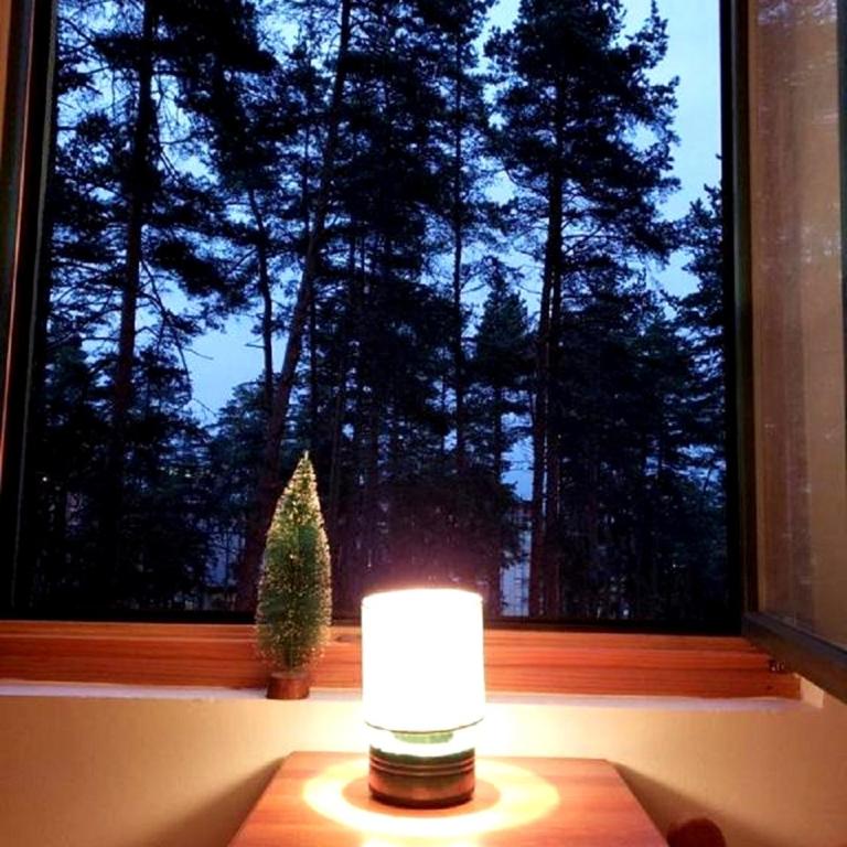 Apartman Pine Forest - One-Bedroom Apartment - 10