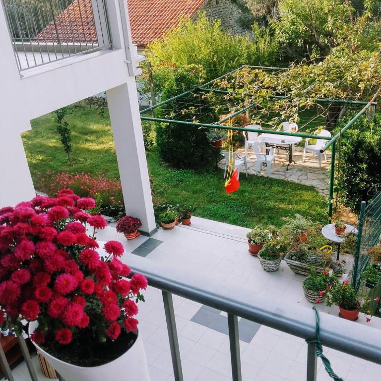 Guest House Djonovic - One-Bedroom Apartment - 21