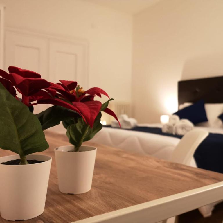 Rome in Style St Peter - Appartamento Superior con 1 Camera da Letto e Balcone - 48