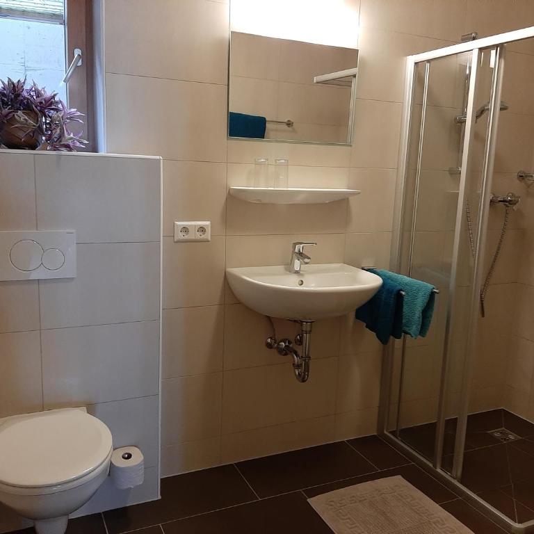 Bauernhof Burglehen - Apartment - Erdgeschoss - 8