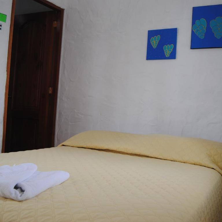 Hostal Galapagos by Bar de Beto - Habitación Individual - 7