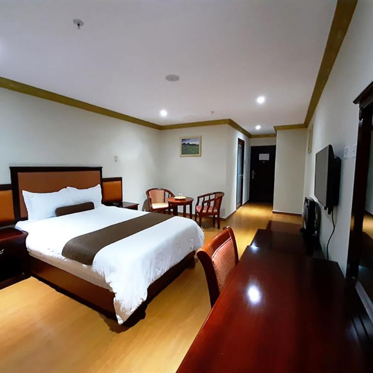 Swan Hotel - Habitación Individual Estándar - 1