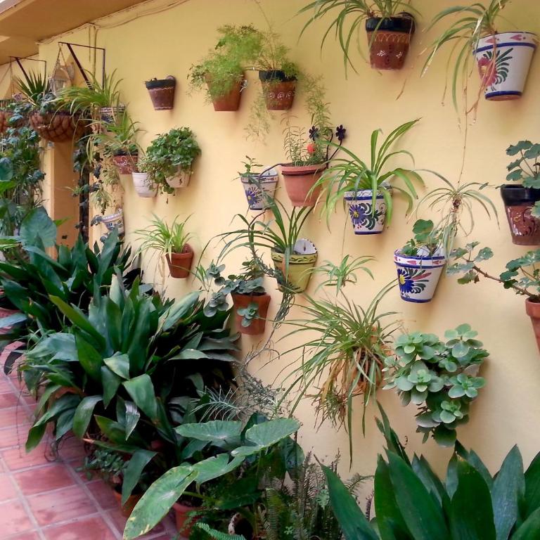 Casa Esperanza - Two-Bedroom Apartment - 19